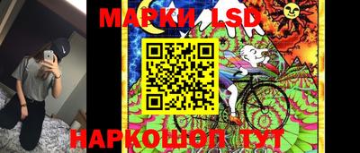 прущие грибы Краснознаменск