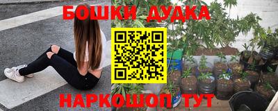 прущие грибы Краснознаменск