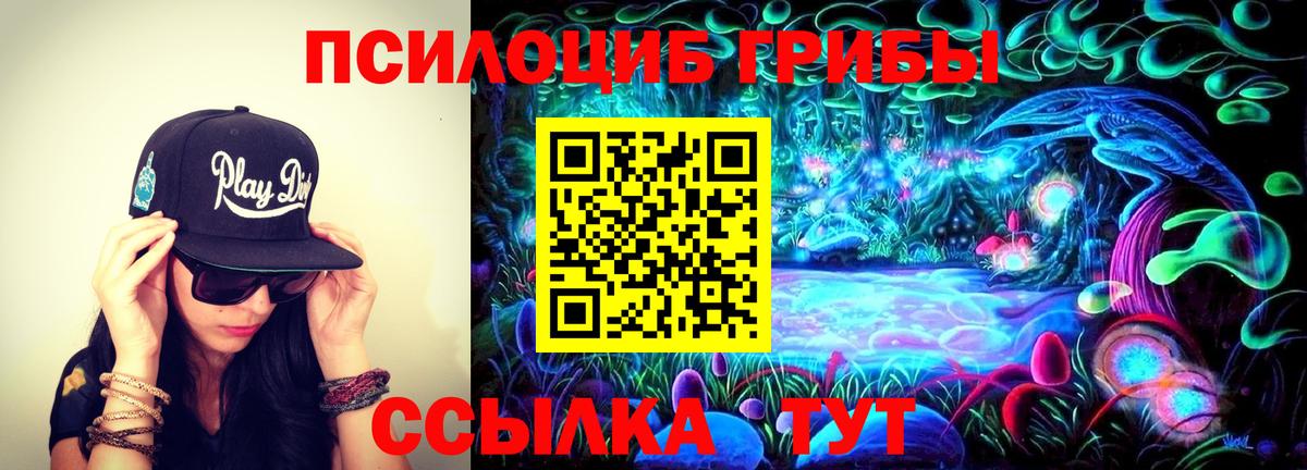 Галлюциногенные грибы прущие грибы Заводоуковск
