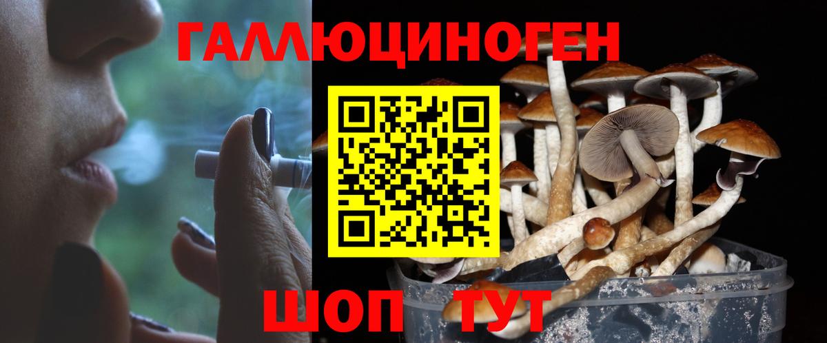 Заводоуковск  Галлюциногенные грибы MAGIC MUSHROOMS  Галлюциногенные грибы Cubensis  Вход с VPN 