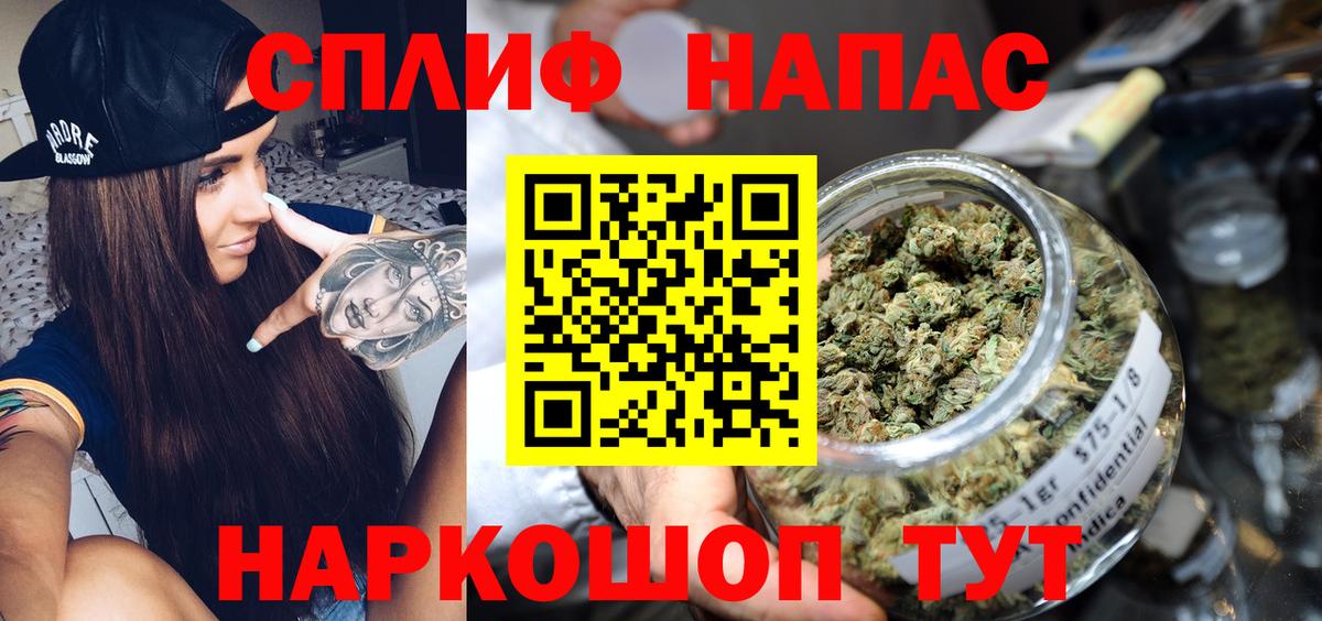 Бошки марихуана конопля Заводоуковск